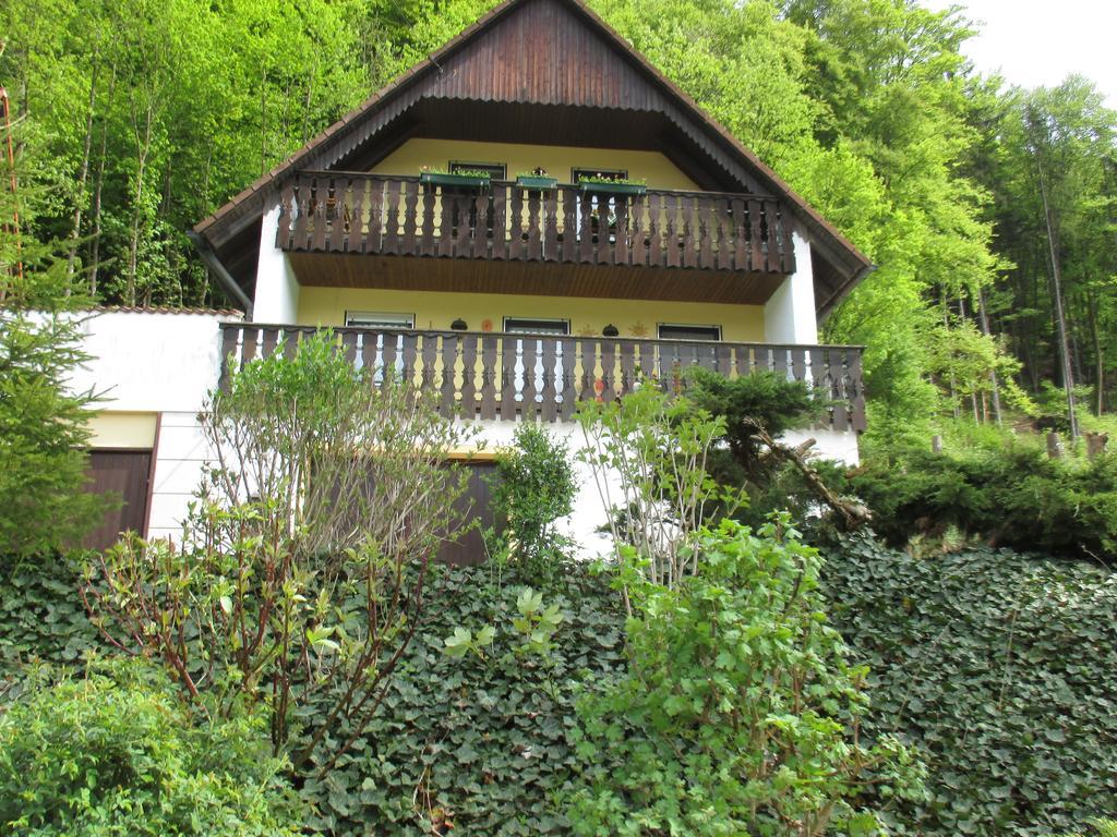 Apartments In Behringersmuehle 괴스바인슈타인 외부 사진